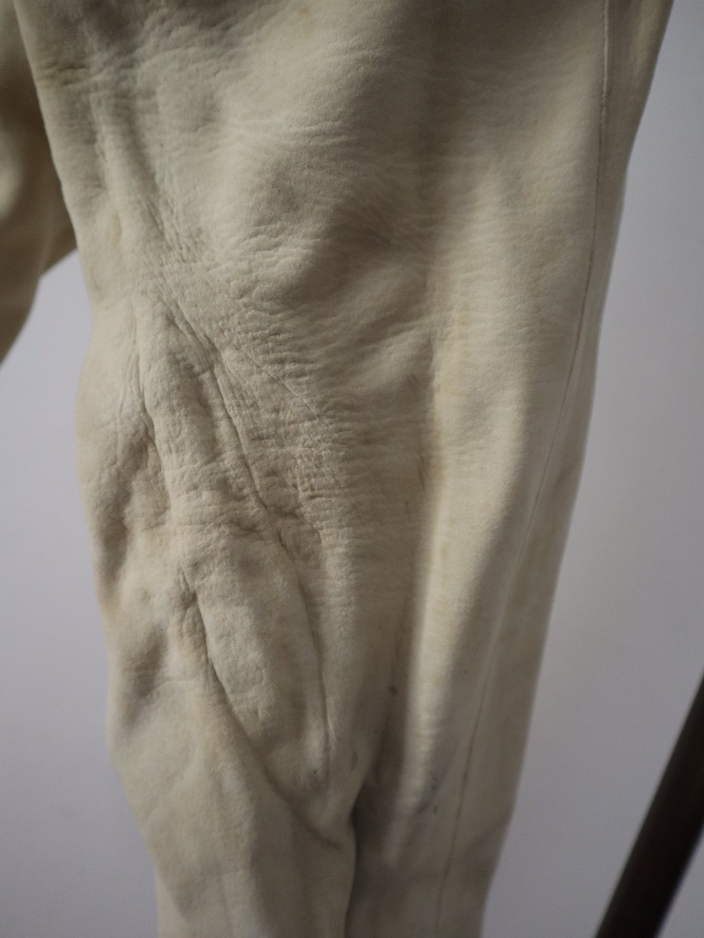 1800s French Buckskin Leather Cream Trousers Breeches RARE